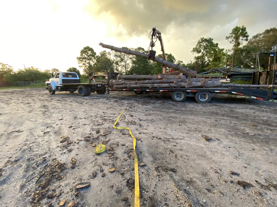 Drainage & Tree Work
